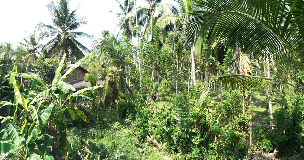 Damith Guest House Unawatuna Kültér fotó